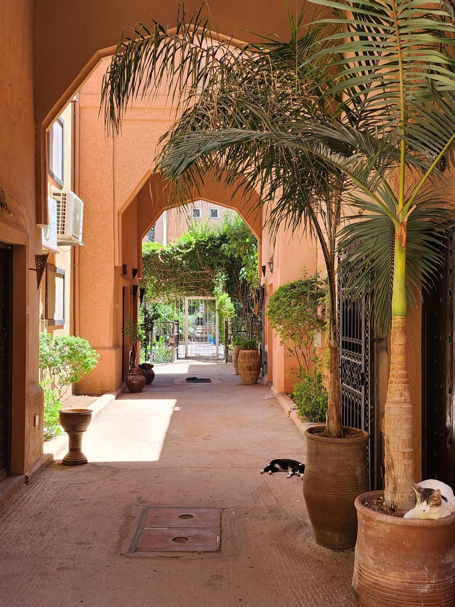 马拉喀什 里亚德贝尼优素福摩洛哥传统庭院住宅酒店 外观 照片